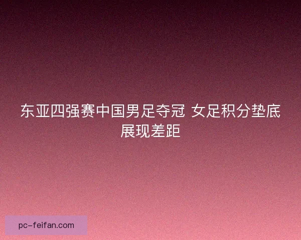 东亚四强赛中国男足夺冠 女足积分垫底展现差距